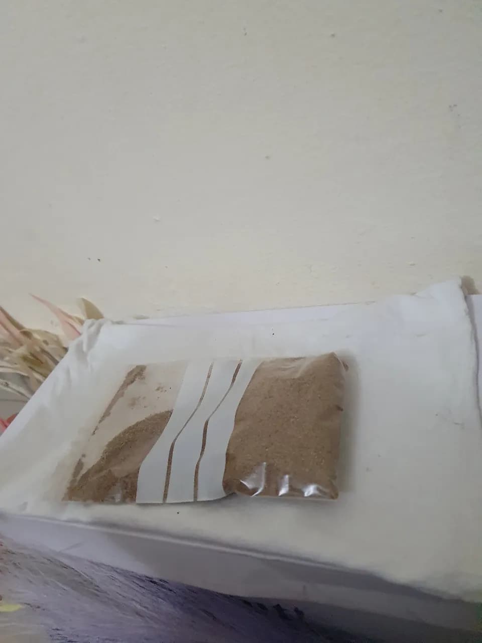 Le produit Poudre de chébé
